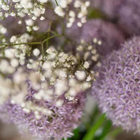 Ca' Dell'angelo Διαμέρισμα *