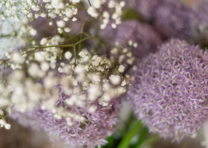 Ca' Dell'angelo Apartment *